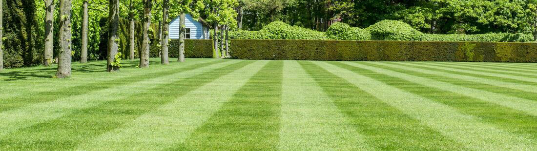 Ook ideaal voor buiten: moestuin & gazon